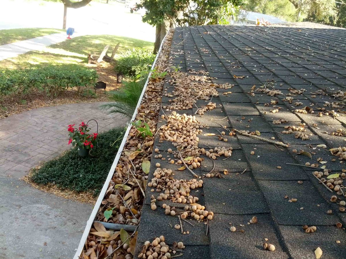 Gutter cleaning Macon Georgia